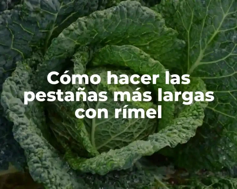 Cómo hacer las pestañas más largas con rímel