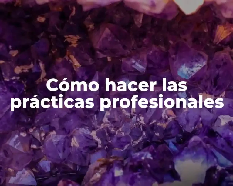 Cómo hacer las prácticas profesionales