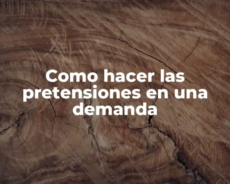 Como hacer las pretensiones en una demanda