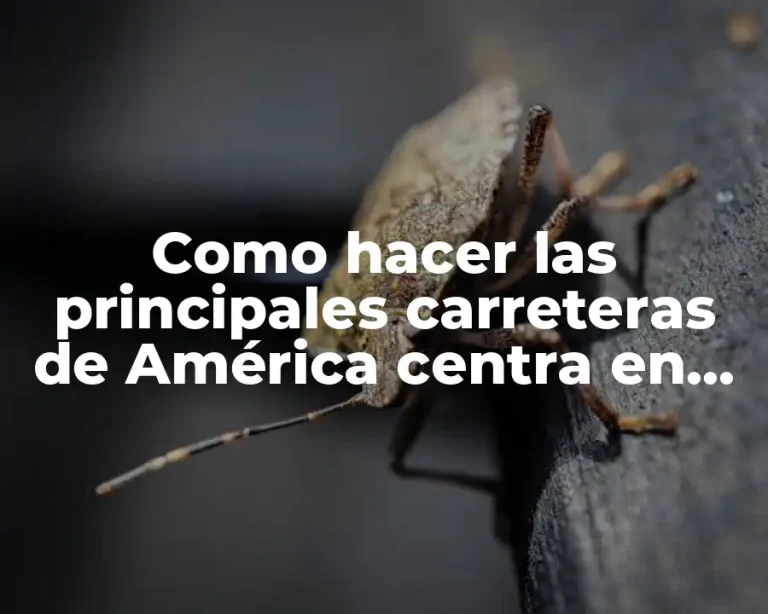 Como hacer las principales carreteras de América centra en maqueta
