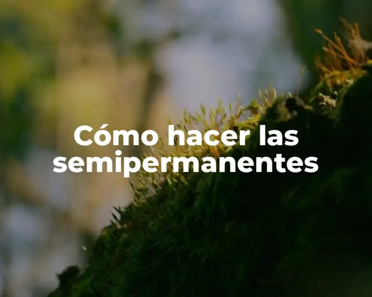 Cómo hacer las semipermanentes
