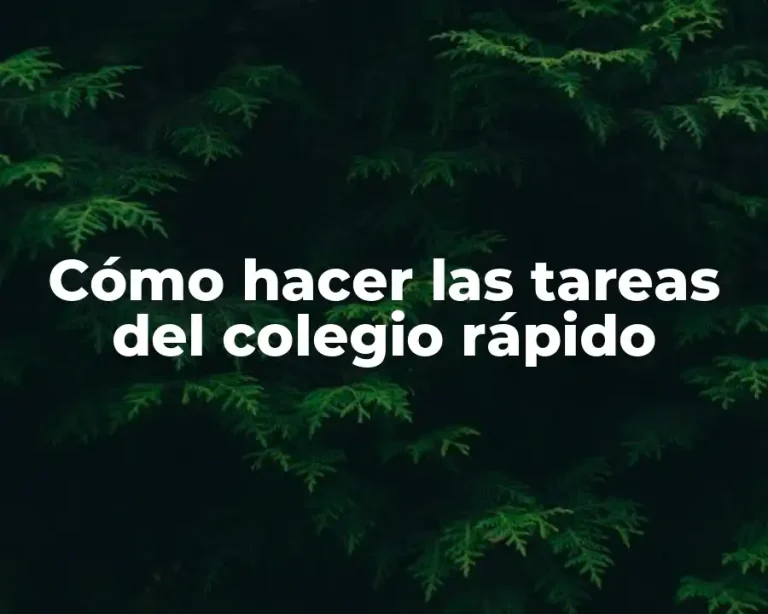 Cómo hacer las tareas del colegio rápido