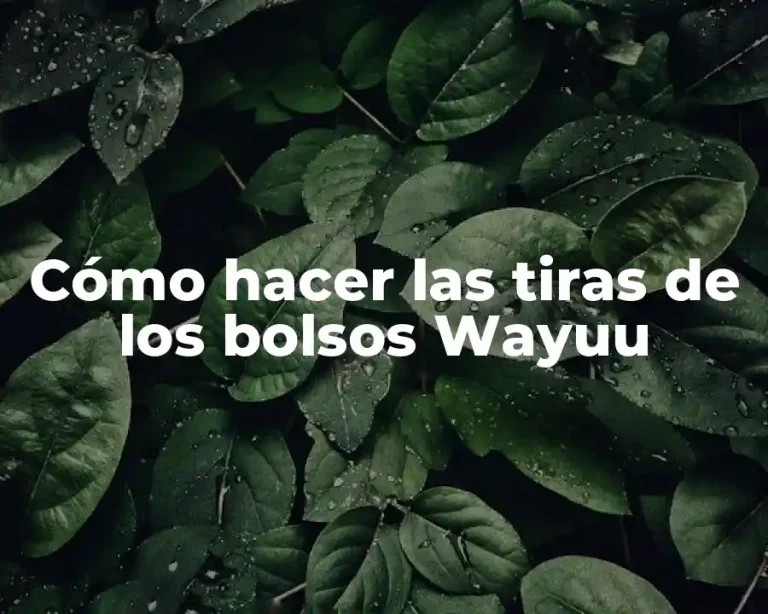 Cómo hacer las tiras de los bolsos Wayuu