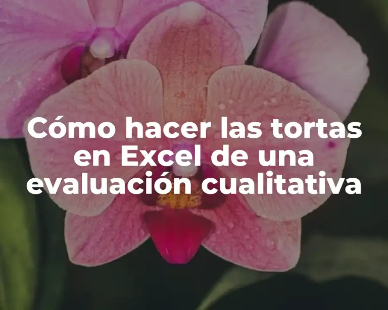 Cómo hacer las tortas en Excel de una evaluación cualitativa