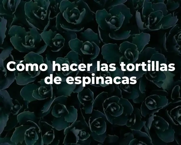 Cómo hacer las tortillas de espinacas