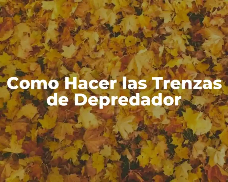 Como Hacer las Trenzas de Depredador