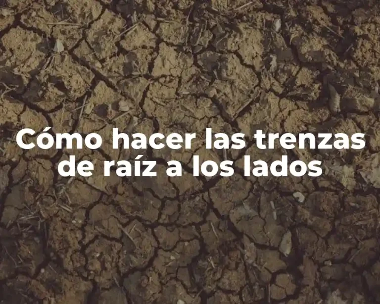 Cómo hacer las trenzas de raíz a los lados