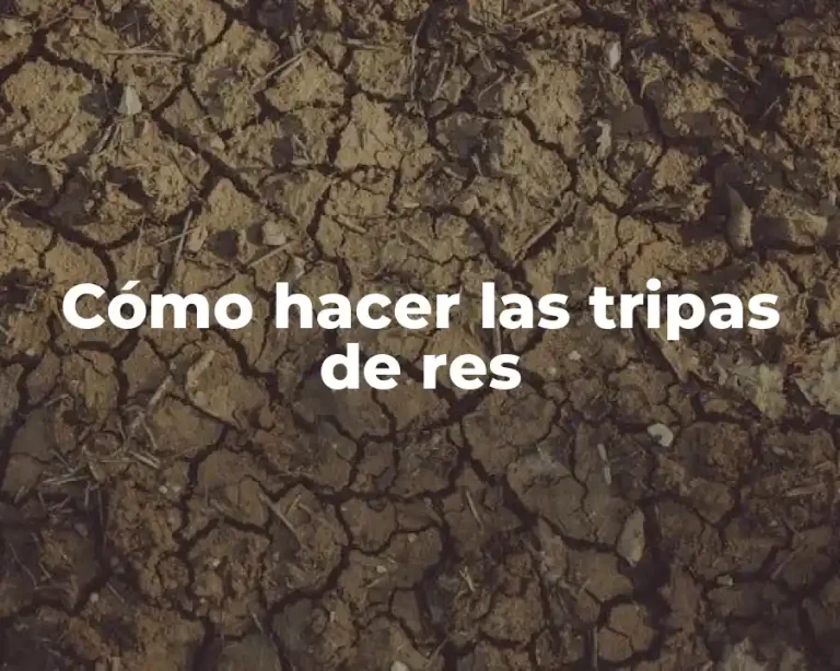 Cómo hacer las tripas de res