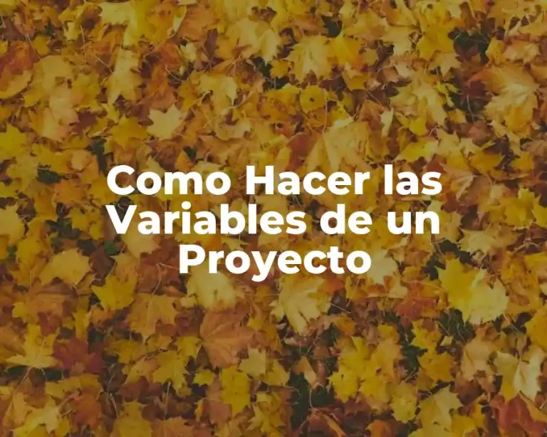 Como Hacer las Variables de un Proyecto