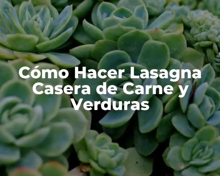 Cómo Hacer Lasagna Casera de Carne y Verduras