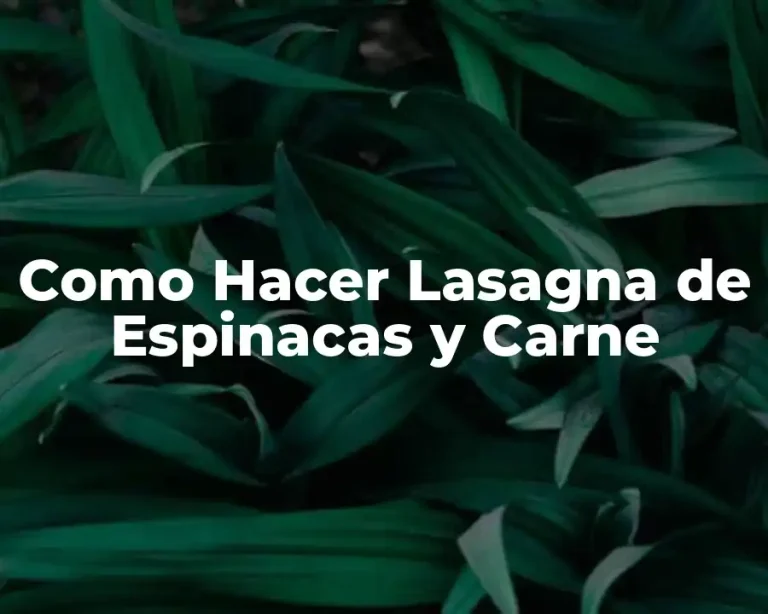 Como Hacer Lasagna de Espinacas y Carne