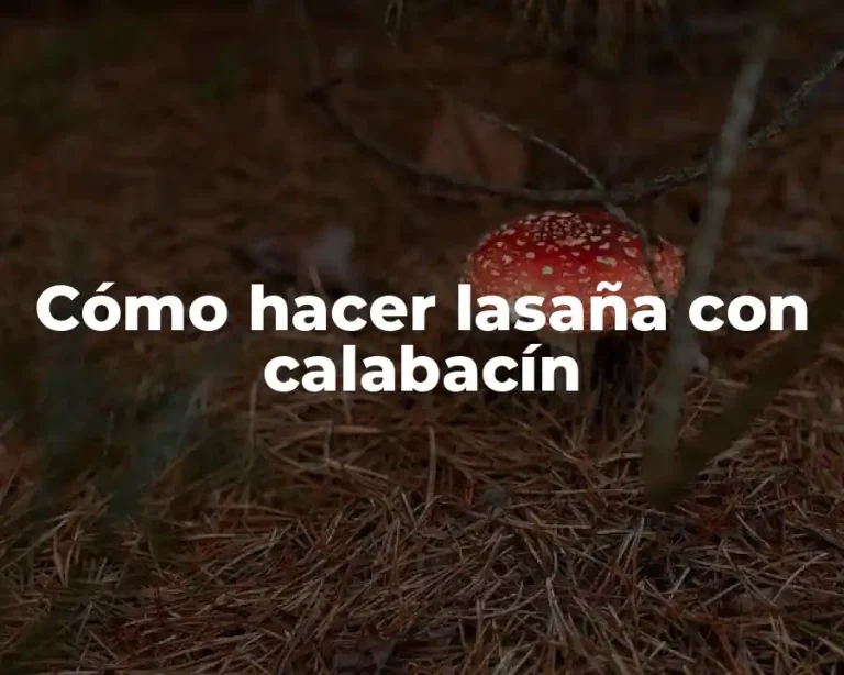 Cómo hacer lasaña con calabacín
