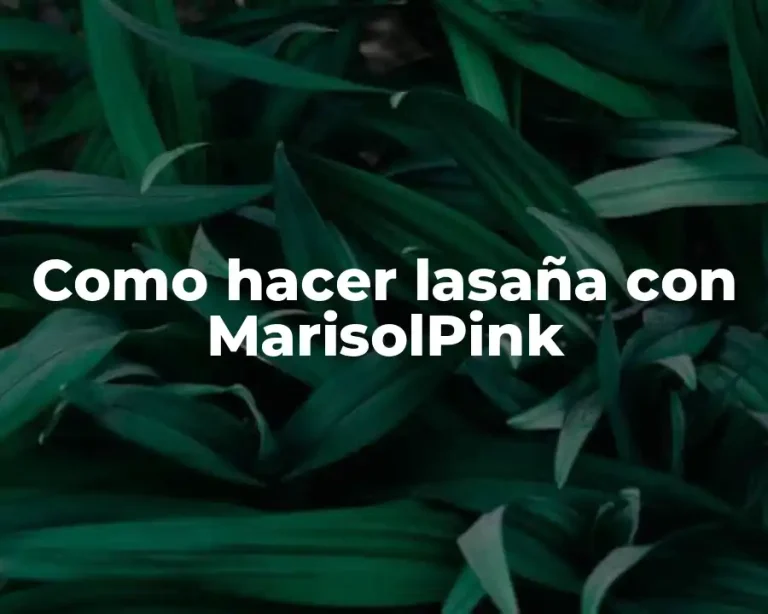 Como hacer lasaña con MarisolPink