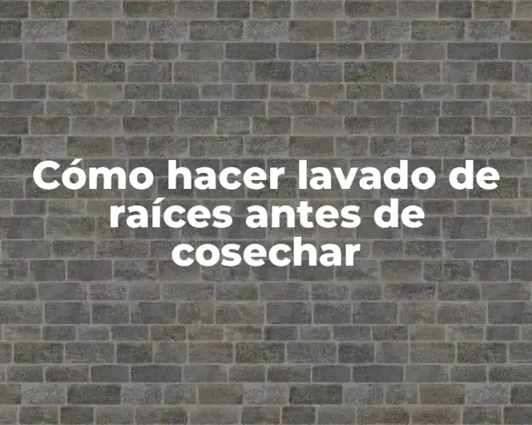 Cómo hacer lavado de raíces antes de cosechar