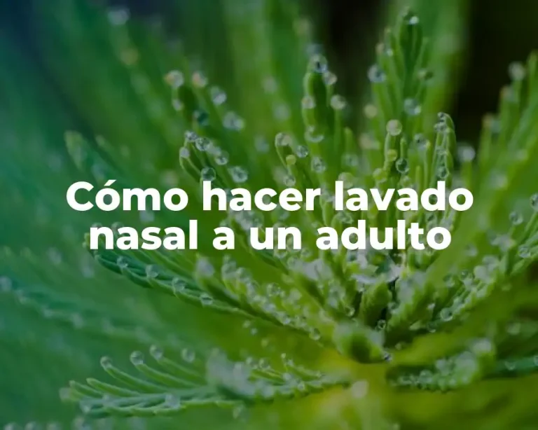 Cómo hacer lavado nasal a un adulto