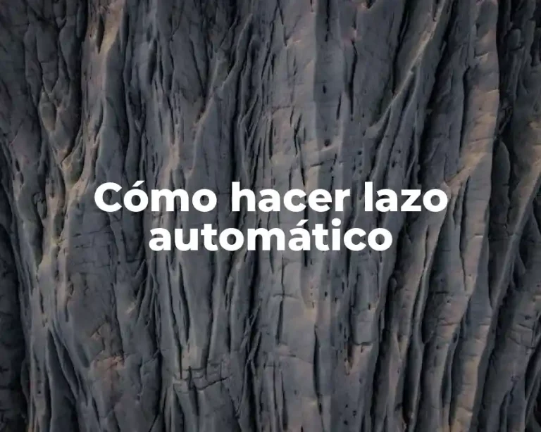 Cómo hacer lazo automático
