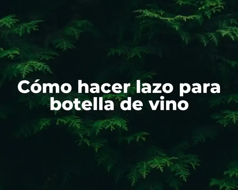 Cómo hacer lazo para botella de vino