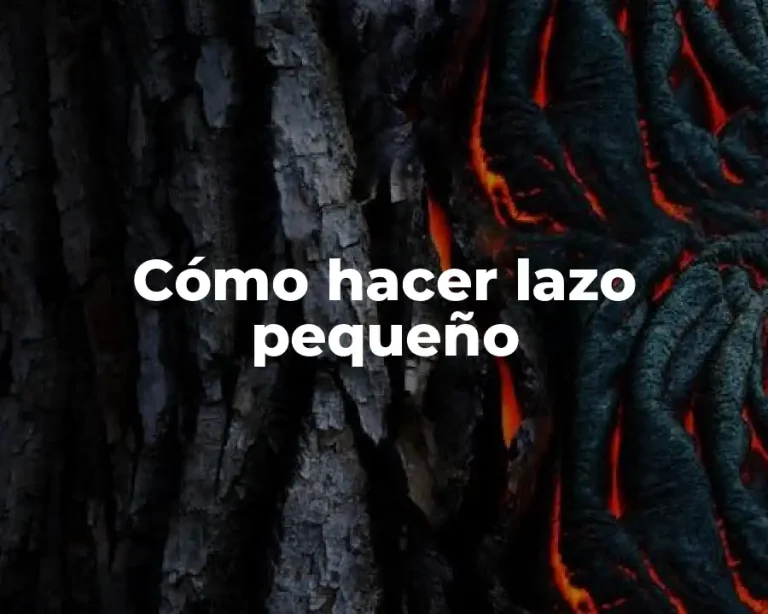 Cómo hacer lazo pequeño