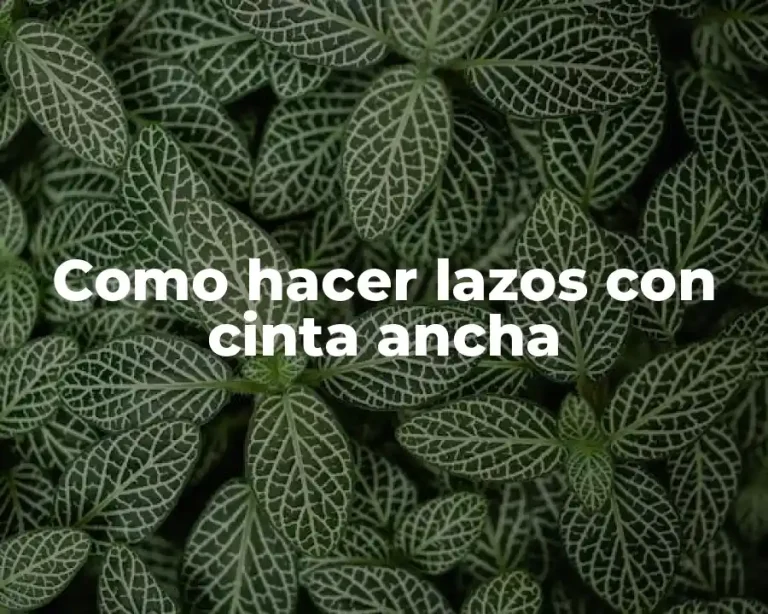Como hacer lazos con cinta ancha