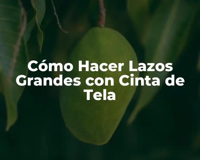 Cómo Hacer Lazos Grandes con Cinta de Tela