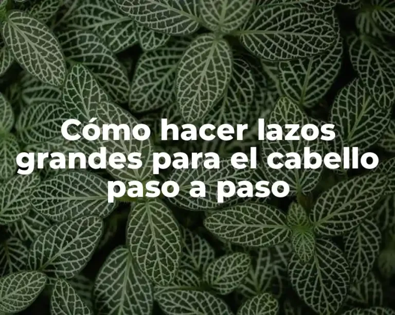 Cómo hacer lazos grandes para el cabello paso a paso