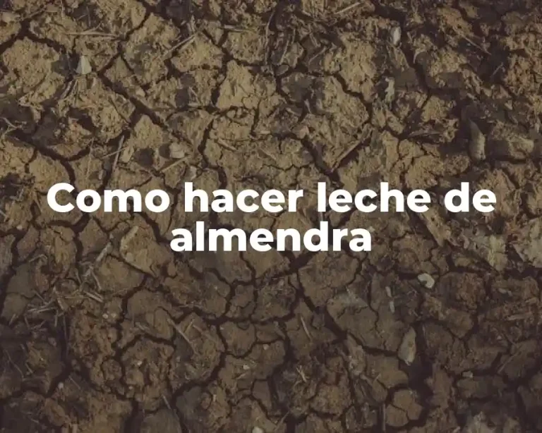 Como hacer leche de almendra