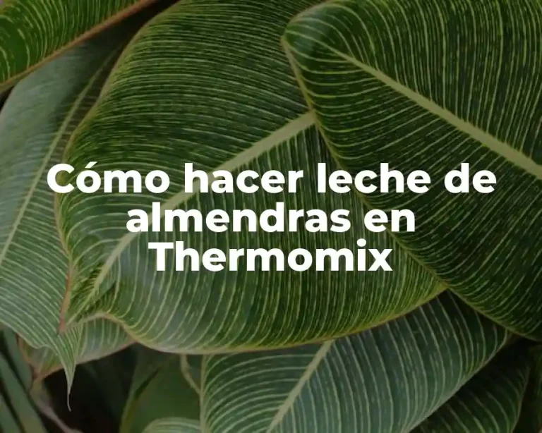Cómo hacer leche de almendras en Thermomix