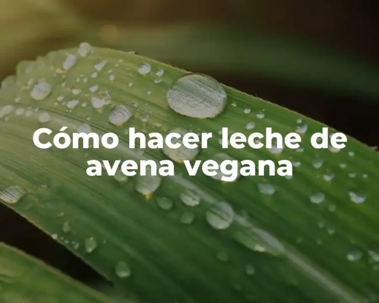 Cómo hacer leche de avena vegana
