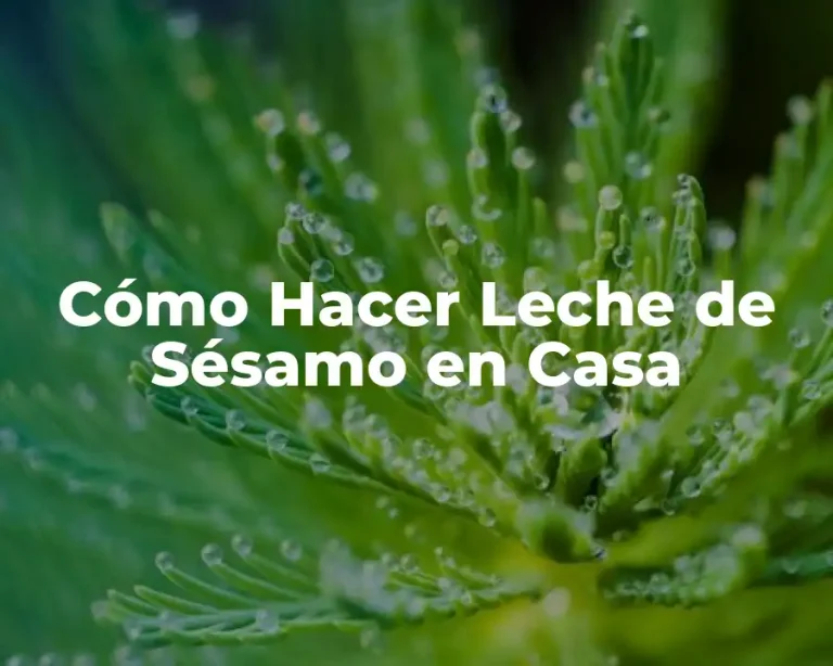 Cómo Hacer Leche de Sésamo en Casa