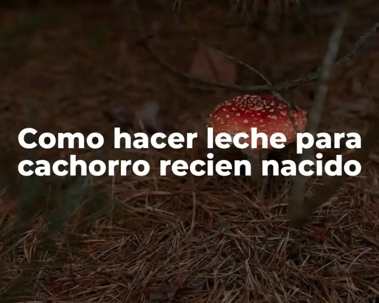 Como hacer leche para cachorro recien nacido