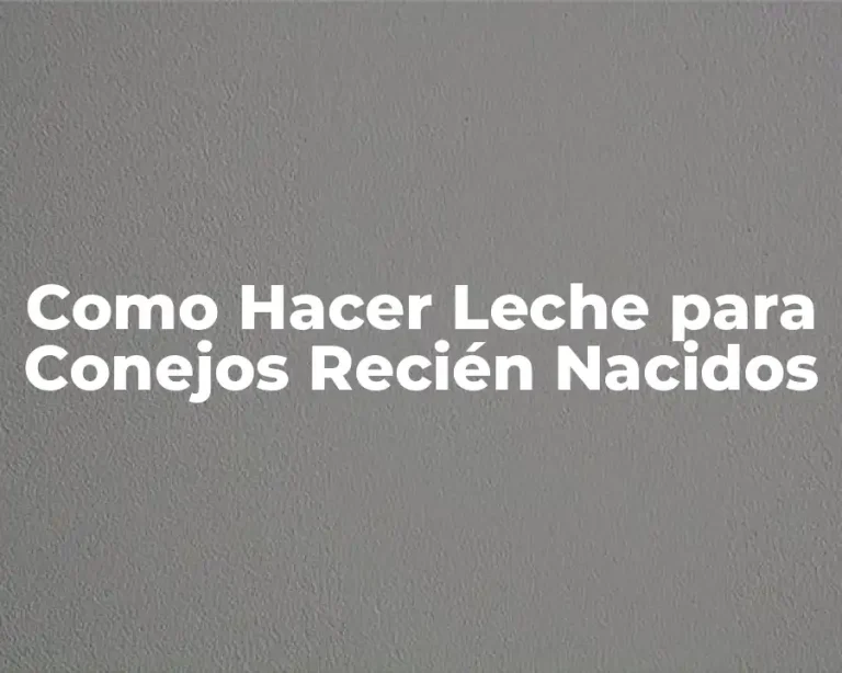 Como Hacer Leche para Conejos Recién Nacidos
