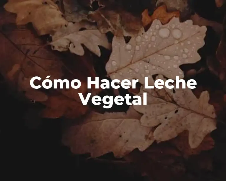 Cómo Hacer Leche Vegetal