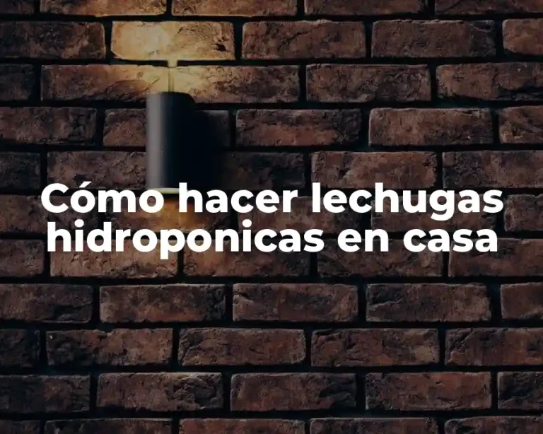 Cómo hacer lechugas hidroponicas en casa