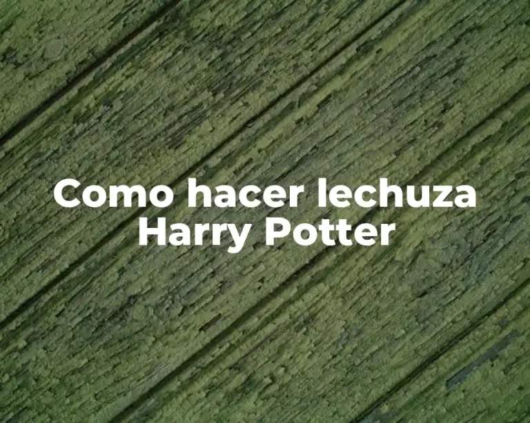 Como hacer lechuza Harry Potter