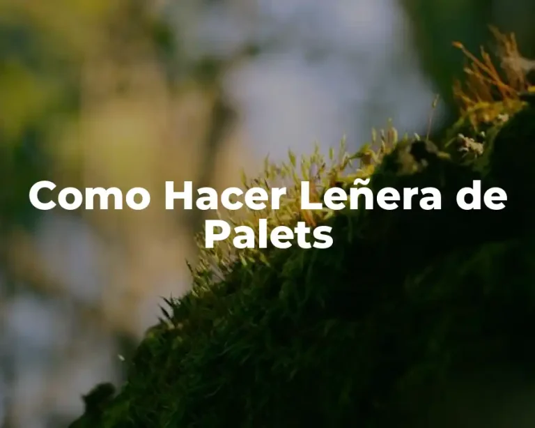 Como Hacer Leñera de Palets