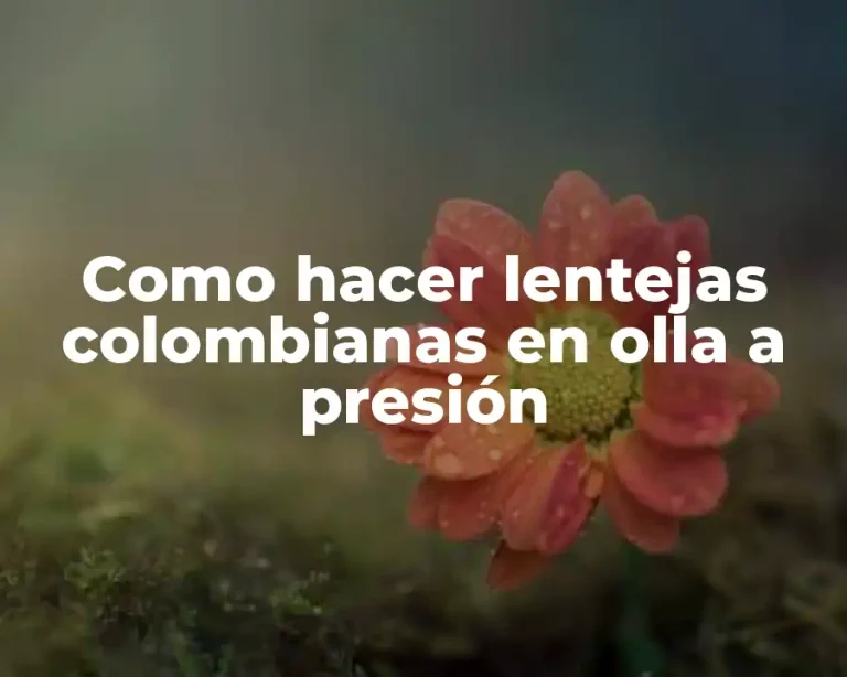 Como hacer lentejas colombianas en olla a presión