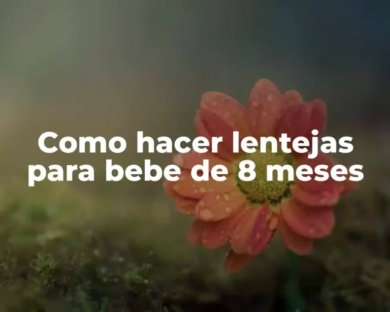 Como hacer lentejas para bebe de 8 meses