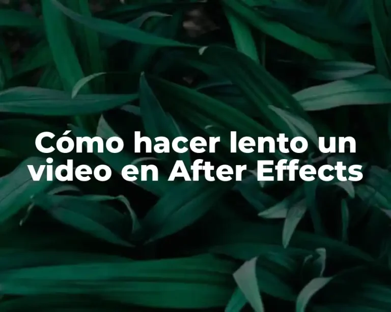 Cómo hacer lento un video en After Effects