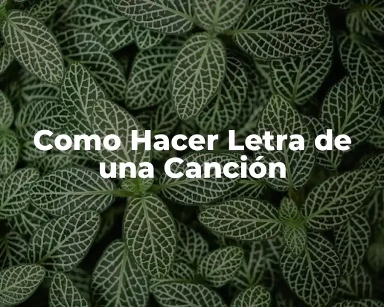 Como Hacer Letra de una Canción