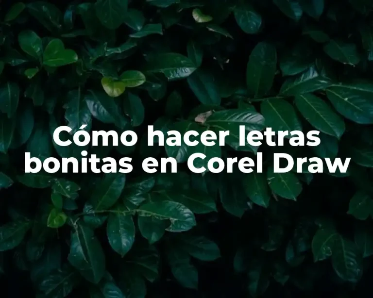Cómo hacer letras bonitas en Corel Draw