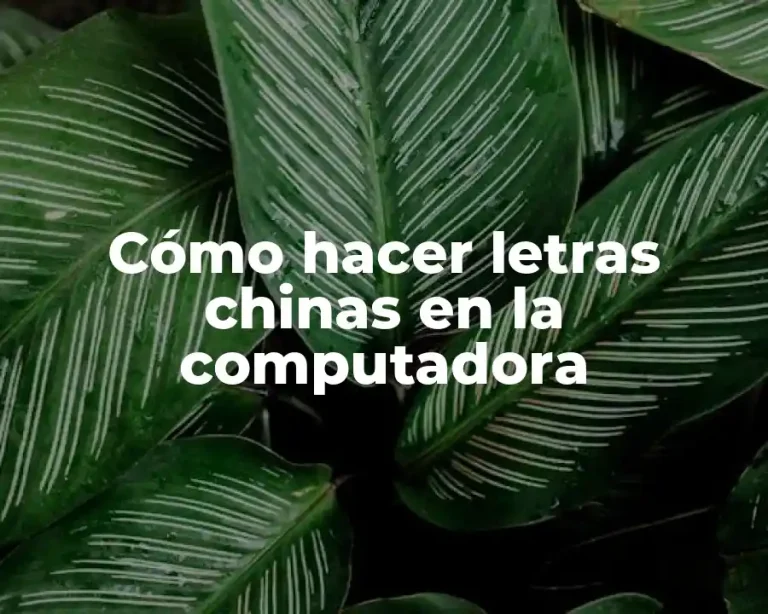 Cómo hacer letras chinas en la computadora