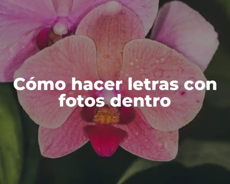 Cómo hacer letras con fotos dentro