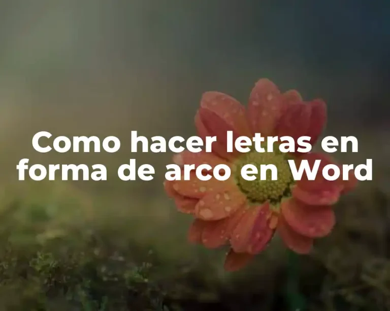 Como hacer letras en forma de arco en Word