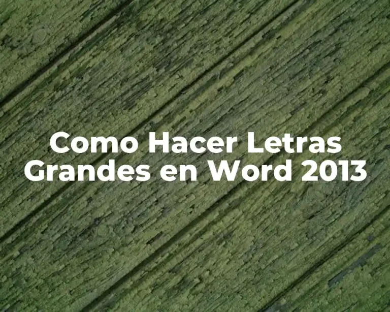 Como Hacer Letras Grandes en Word 2013