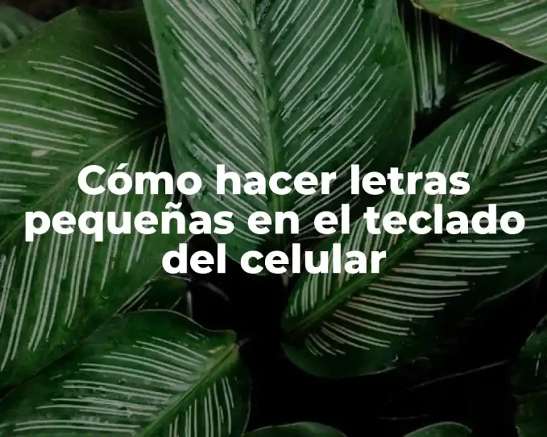 Cómo hacer letras pequeñas en el teclado del celular