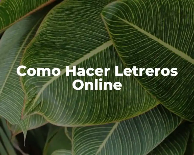 Como Hacer Letreros Online