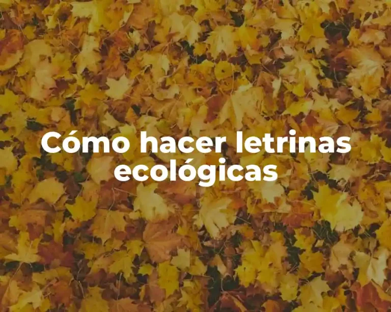 Cómo hacer letrinas ecológicas