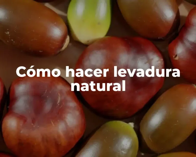 Cómo hacer levadura natural