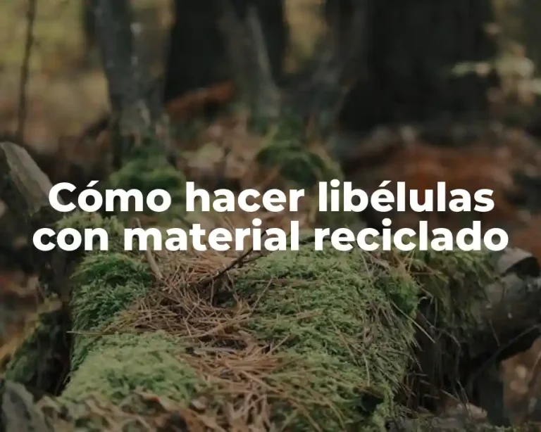 Cómo hacer libélulas con material reciclado
