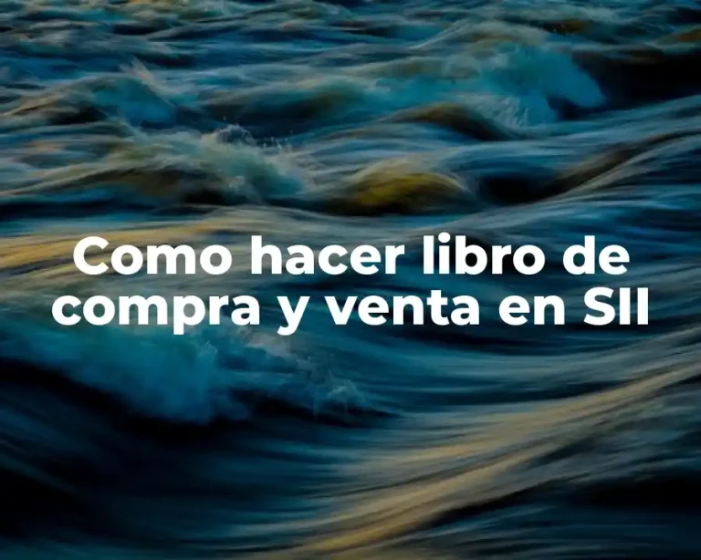 Como hacer libro de compra y venta en SII